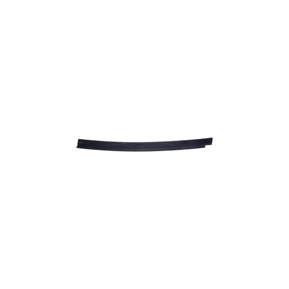 Door Glass Weatherstrip - CRO55005529